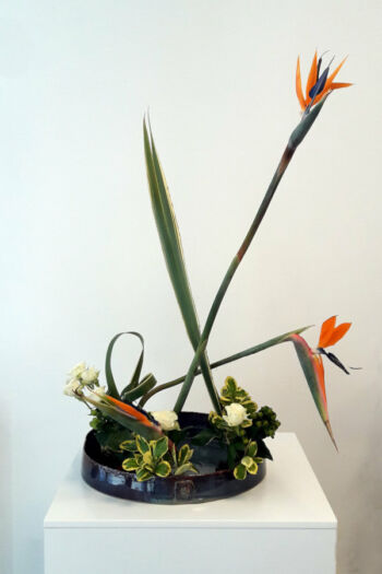 Plat rond, Composition Anakadé, Ikébana plat bleuté avec colimçon pour Ikebana, cours de poterie, Terr'Ame, atelier-boutique de céramique de Véronique Bélier, Trévoux, Ain