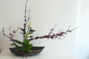 Plat barque, Ikebana, incliné sur l'eau Barque, grande coupe ikebana, Terr'Ame, atelier-boutique de céramique de Véronique Bélier, Trévoux, Ain