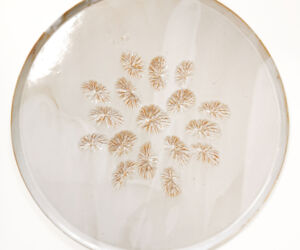Plat à tarte cours stages poterie céramique modelage Terr'Ame Véronique Belier Trévoux Ain