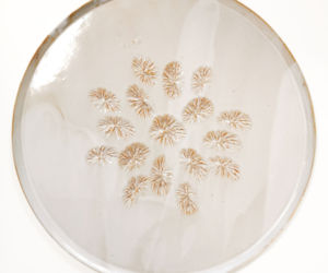 Plat à tarte Plat à tarte cours stages poterie céramique modelage Terr'Ame Véronique Belier Trévoux Ain