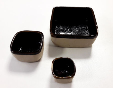 Plats pincés gigognes Plats pincés gigognes_Terr'Ame_Cours et stages_Véronique Bélier_Trévoux