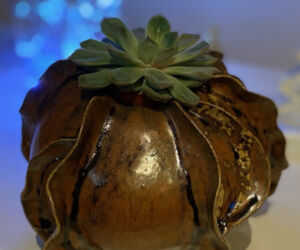 Pot pour plante cours stages poterie céramique modelage Terr'Ame Véronique Belier Trévoux Ain